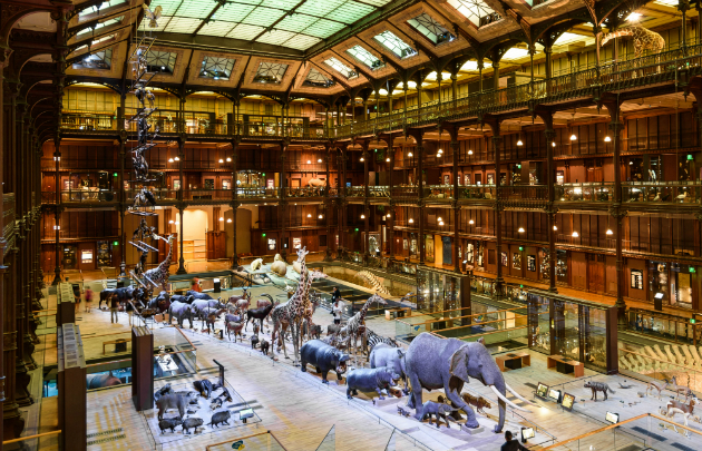 Museu de História Natural em Paris