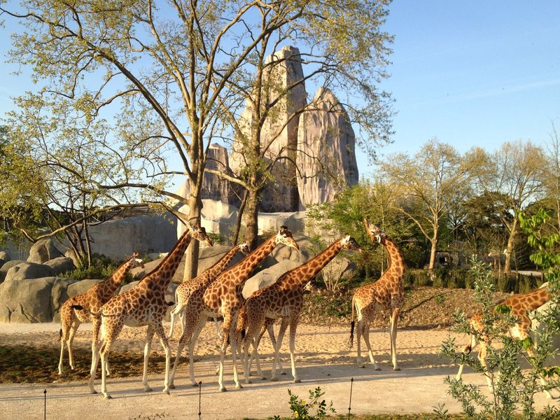 Zoológico de Vincennes em Paris